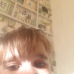 �������, �����, 36 ���