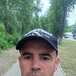 , 37, 