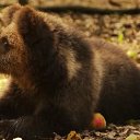 ���� �����, ������, 42 ���� - ��������� 18 �������� 2025 � ������ ���� ����������