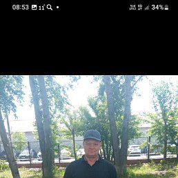 , 62 , 