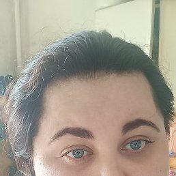 , , 29 