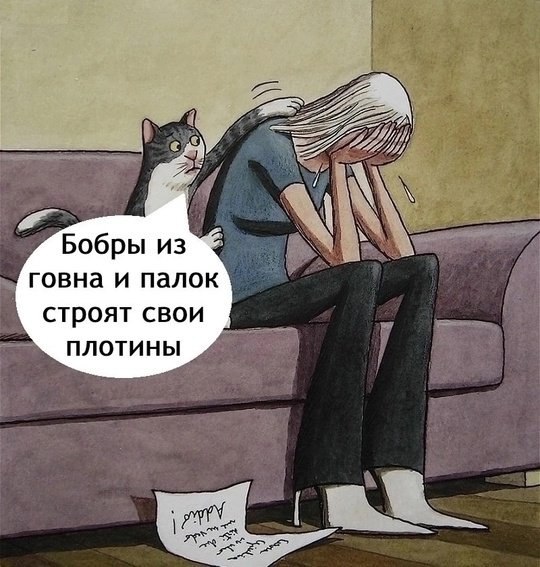   5   - 8