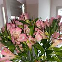 ���� M.i.l.a, ���������, 47 ��� - ��������� 9 ��� 2024 � ������ �������