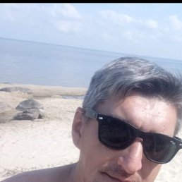 ����, 40 ���, �������