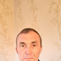 , 49, 