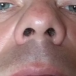 ������, ��������, 44 ����