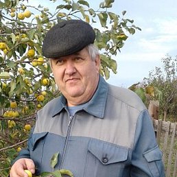 ������, ���������, 67 ���