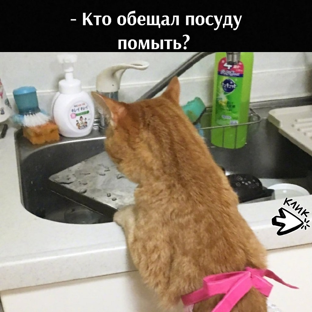 ��� ���� � ����� �� �� - 13 ����� 2026 � 17:30