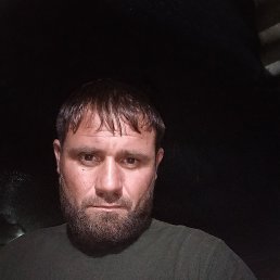, 38, 