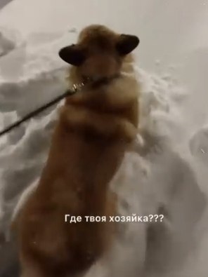 �������� �������: � ���� ���������� ������������ ��������� ���� ��� ���������� �������� ������ ... - 2