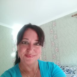 ���� �����, �����������, 40 ��� - ��������� 8 ���� 2026