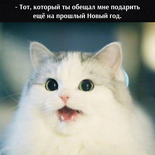 ��� ���� � ����� �� �� - 24 ������� 2025 � 18:03 - 3