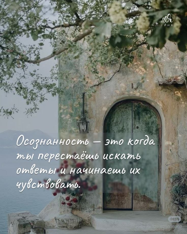 �������� ������ - 29 ���� 2026 � 13:15