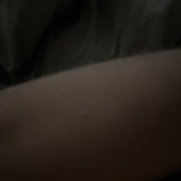 ���� ���, ������, 19 ��� - ��������� 23 ��� 2026