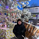 ���� �������-183, ��������, 54 ���� - ��������� 20 ������ 2025 � ������ ���� ����������