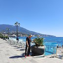 ���� V����, ���� - ��������� 15 ������� 2024 � ������ ���� ����������