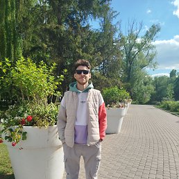 , 33 , 