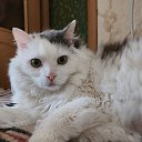 ���� ����, ����������, 51 ��� - ��������� 27 ������� 2025