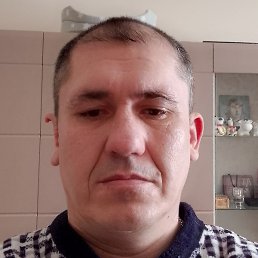 ������ �������, ����, 41 ���