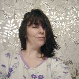 ���� ����, ������, 43 ���� - ��������� 24 ������� 2026