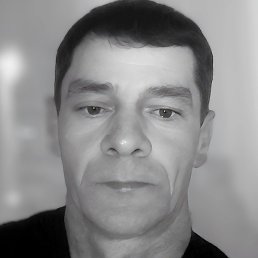 ����, �������������, 46 ���