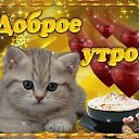 ���� �����, ����������� - ��������� 13 ������� 2024 � ������ ������ ��������