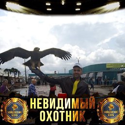 �������, ������������, 40 ���