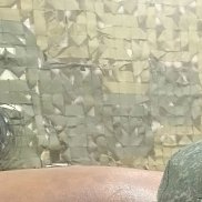 , 37 , 