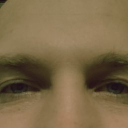 , 37, 