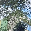 02 10 2025 �� ������� ���� ����������