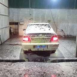 �����, ������, 41 ���