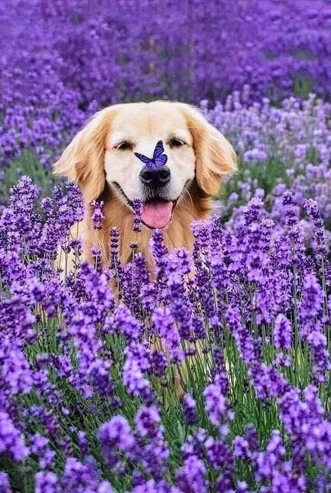 !
