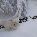 ���� ����, �����-���������, 66 ��� - ��������� 24 ������ 2024 � ������ �������