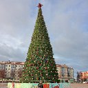 ���� .��������� 333, �����, 48 ��� - ��������� 30 ������� 2025 � ������ ���� ����������