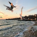 ���� �����, ���� - ��������� 29 ��� 2026 � ������ ������������