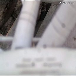 ���� �����, �������, 74 ���� - ��������� 22 ����� 2024