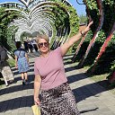 ���� ��������, ���������, 54 ���� - ��������� 6 �������� 2025 � ������ ���� ����������