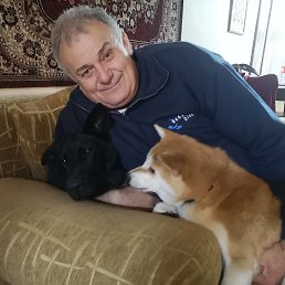 ��������, ������, 67 ���