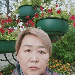 , 60, 