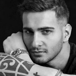 Bos, ������, 48 ���