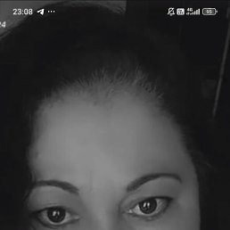 ���� �������, ������, 52 ���� - ��������� 18 ��� 2026