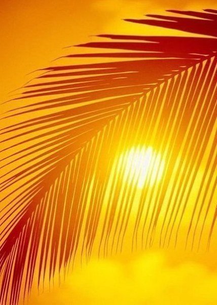 Никогда не теряйте надежды и веры в лучшее, потому что после самой черной ночи, всегда бывает ...