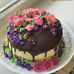 ���� ����, ���������� - ��������� 4 ���� 2026