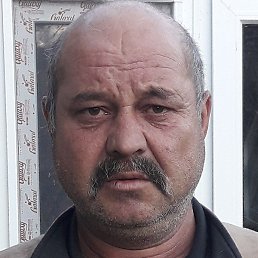 �����, �������, 51 ���