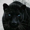 ���� ��������, ��������, 56 ��� - ��������� 24 ������ 2024 � ������ ���� ����������