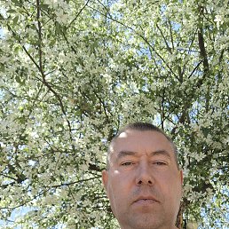 , 45, 
