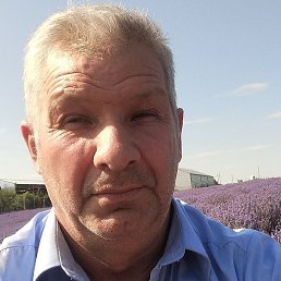 �������, ���������, 56 ���