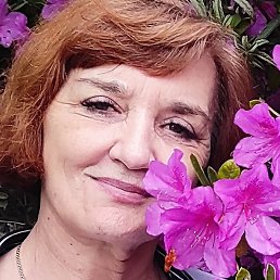 ����, ����������, 56 ���