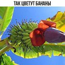 ���� �����, ���� - ��������� 10 ����� 2025 � ������ ���� ����������